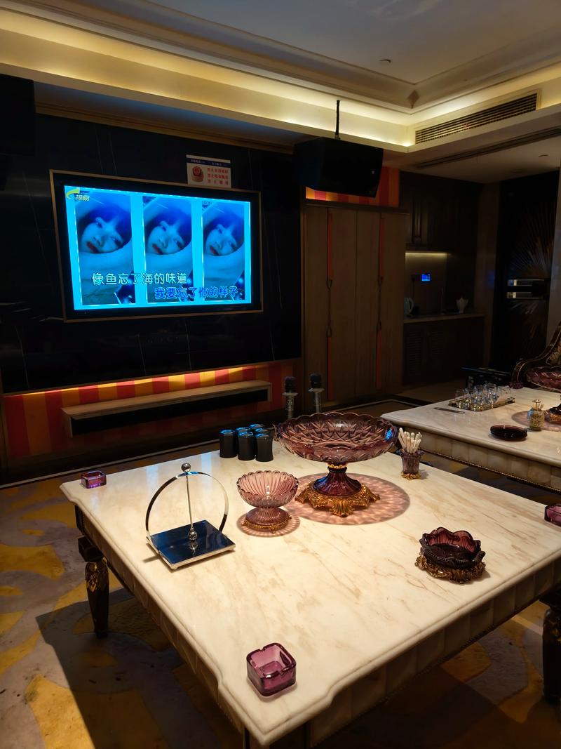 辽源商务KTV怎么样？-东辽县ktv预订